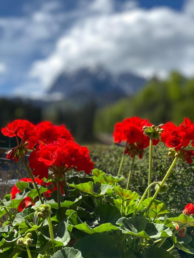 Chalet Tirolia Kirchdorf in Tirol Εξωτερικό φωτογραφία